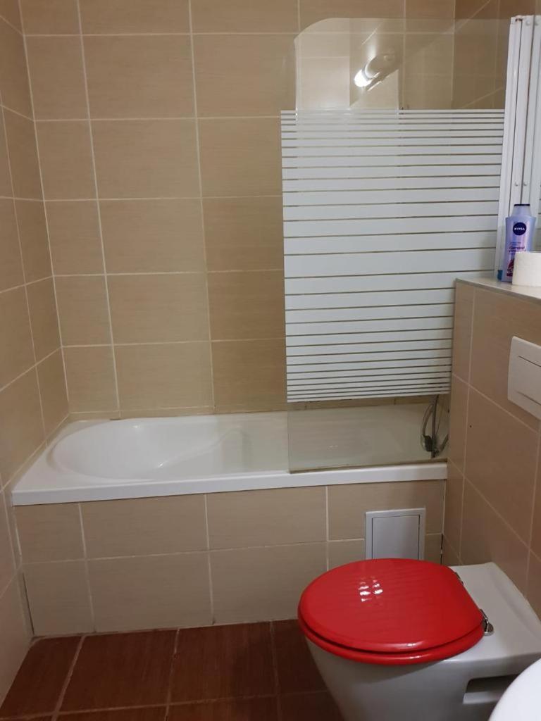 Apartmentsbnb828 Braşov Eksteriør billede