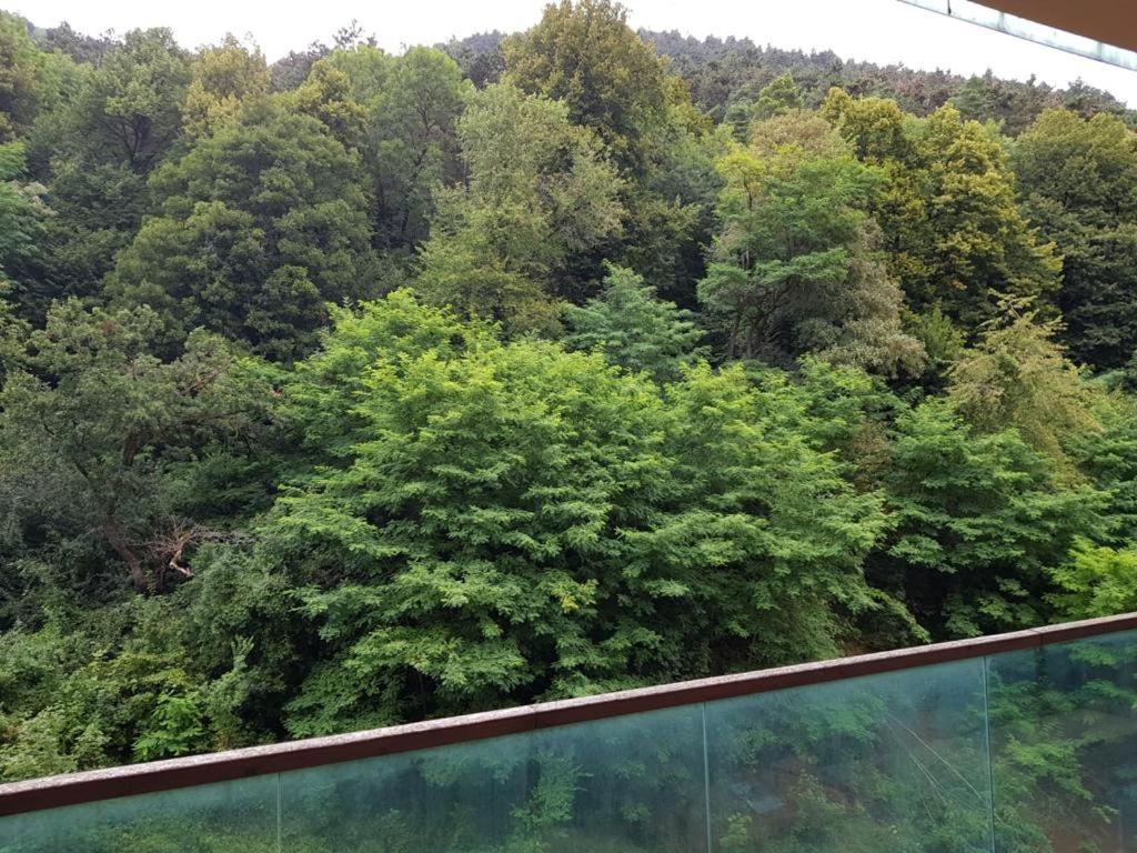 Apartmentsbnb828 Braşov Eksteriør billede